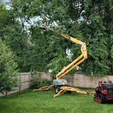 Best Weed Control  in Santaquin, UT