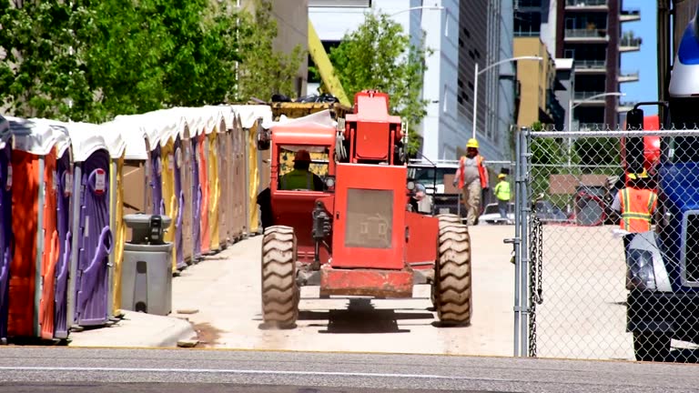 Best Stump Grinding and Removal  in Santaquin, UT