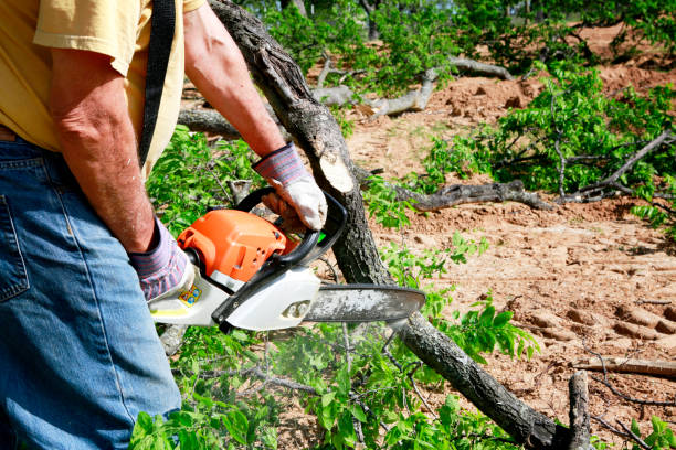 Best Soil Testing and Treatment  in Santaquin, UT